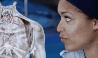 海默肖恩激光眼图片